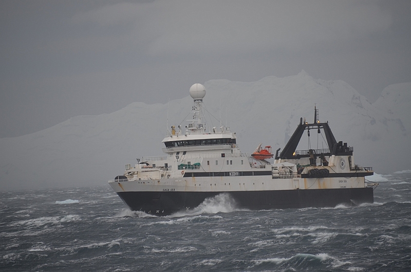 107_Antarctica_Peninsula_Gerlache_Strait.JPG