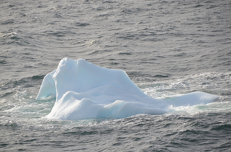 118_Antarctica_Peninsula_Gerlache_Strait.JPG