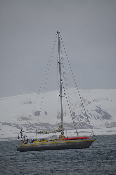 192_Antarctica_Peninsula_Deception_Island.JPG