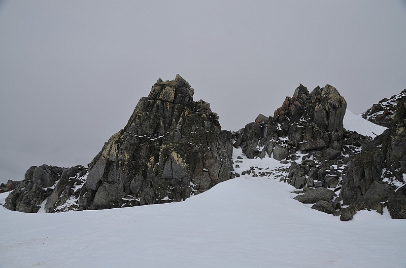 218_Antarctica_Peninsula_Robert_Island.JPG