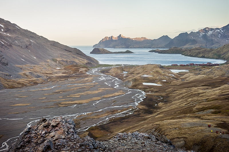 114_Best_of_Antarctica_Ponant.jpg