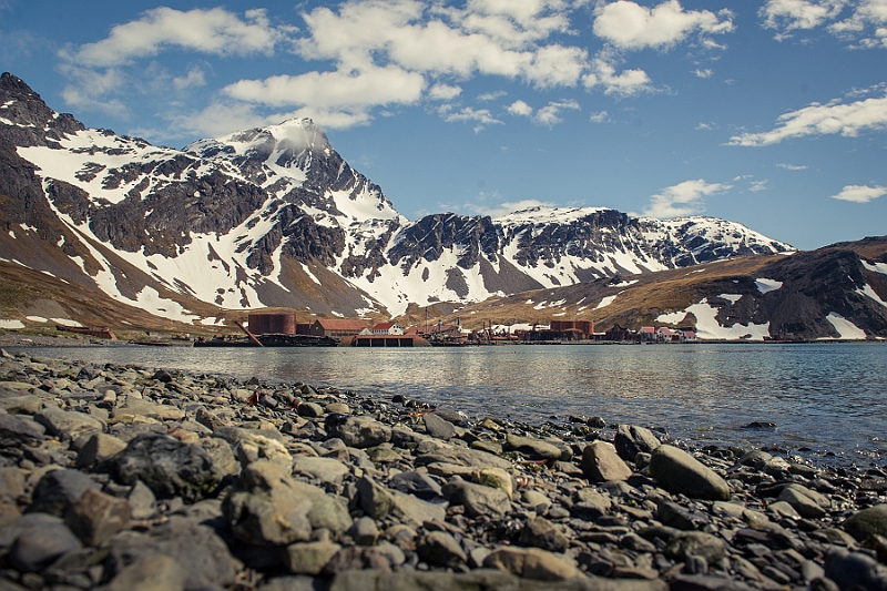 116_Best_of_Antarctica_Ponant.jpg