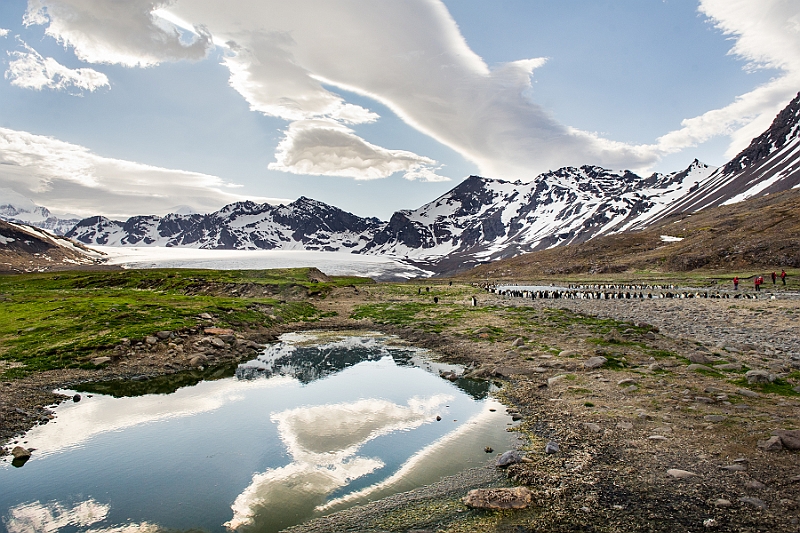 150_Best_of_Antarctica_Ponant.jpg