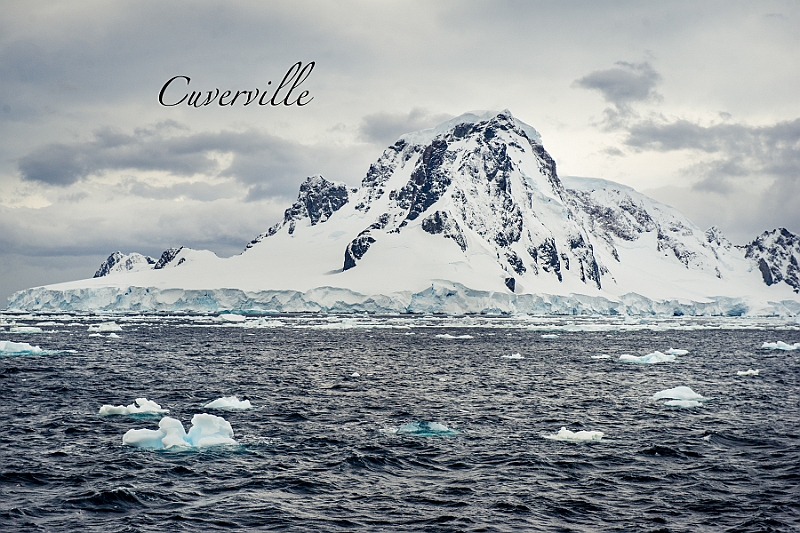 205_Best_of_Antarctica_Ponant.jpg