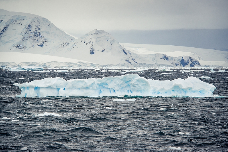 207_Best_of_Antarctica_Ponant.jpg
