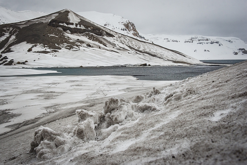 258_Best_of_Antarctica_Ponant.jpg
