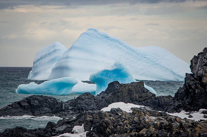 283_Best_of_Antarctica_Ponant.jpg