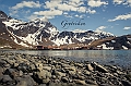 115_Best_of_Antarctica_Ponant