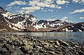 116_Best_of_Antarctica_Ponant
