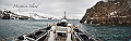 237_Best_of_Antarctica_Ponant