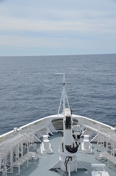 061_L_Austral.JPG