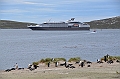 065_L_Austral