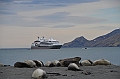 069_L_Austral