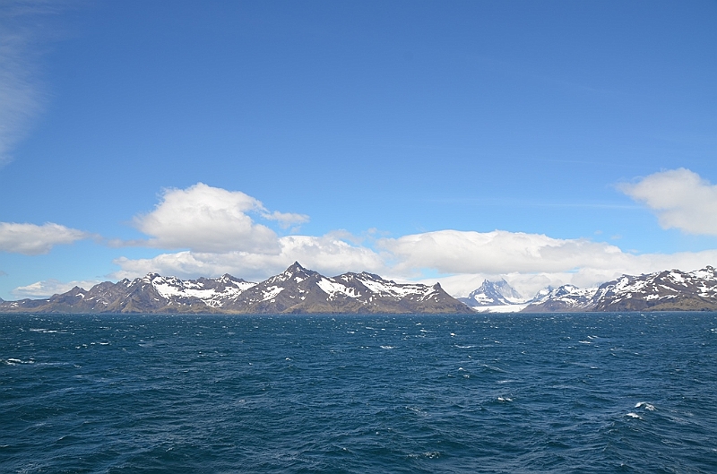 026_Antarctica_South_Georgia.JPG