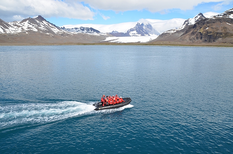 032_Antarctica_South_Georgia.JPG