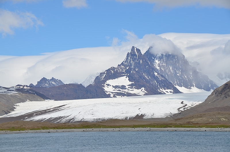 036_Antarctica_South_Georgia.JPG