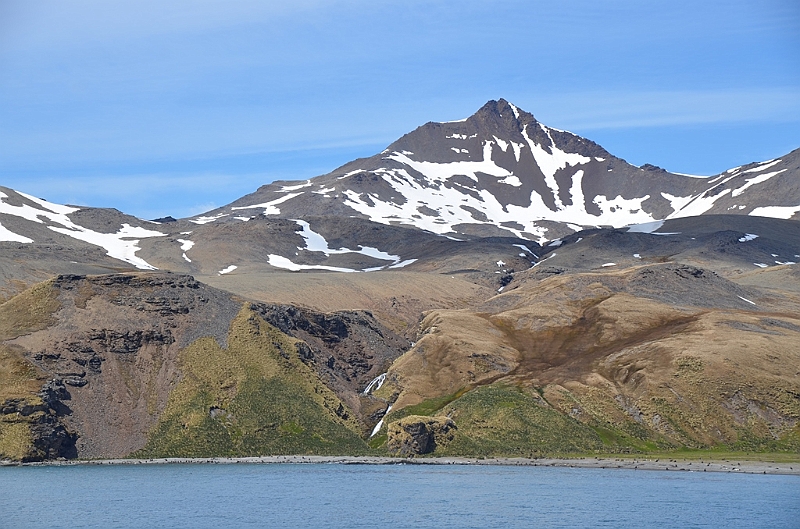 037_Antarctica_South_Georgia_Fortuna_Bay.JPG