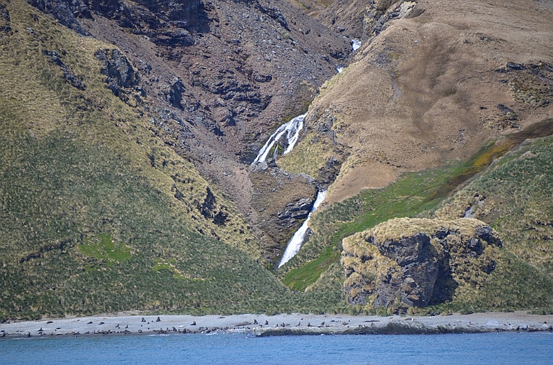 041_Antarctica_South_Georgia_Fortuna_Bay.JPG