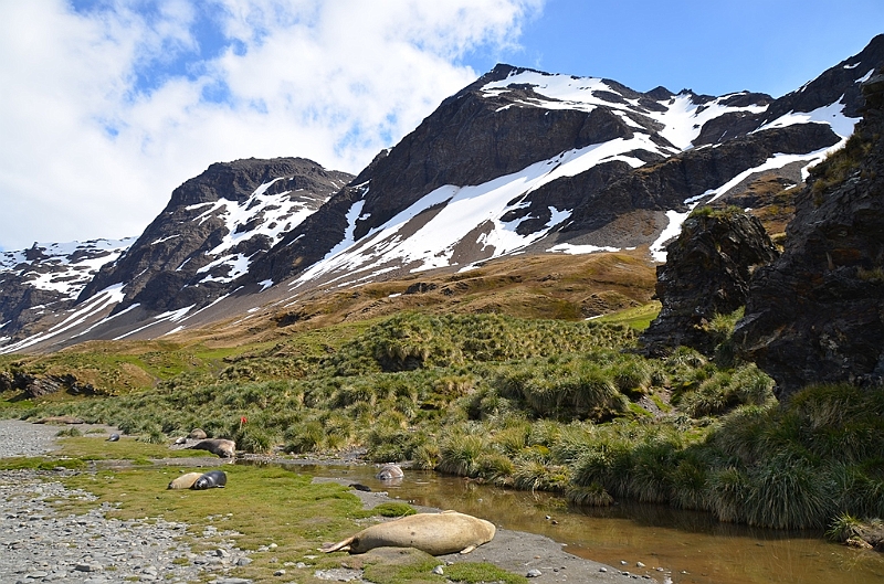 069_Antarctica_South_Georgia_Fortuna_Bay.JPG