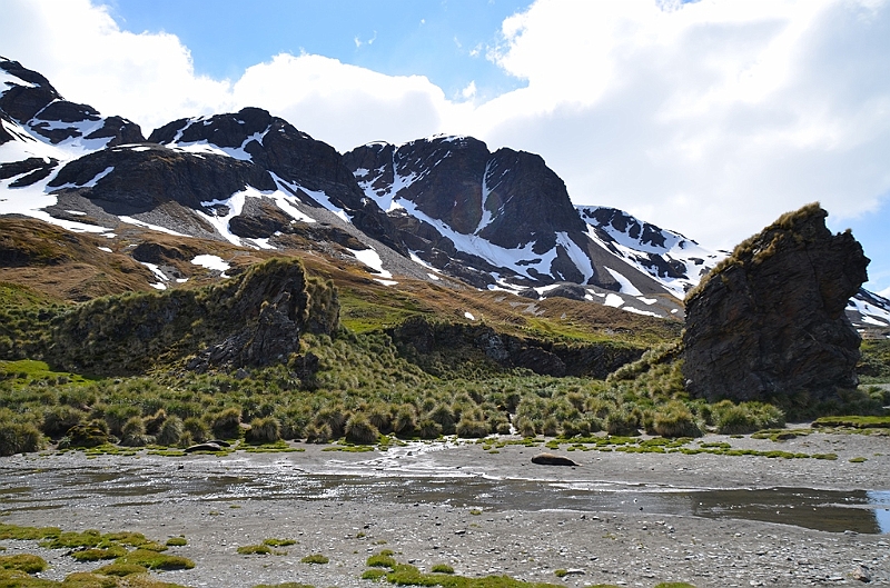 075_Antarctica_South_Georgia_Fortuna_Bay.JPG