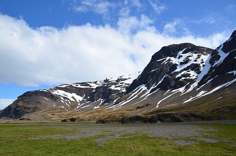 081_Antarctica_South_Georgia_Fortuna_Bay.JPG