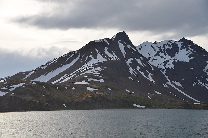 118_Antarctica_South_Georgia.JPG
