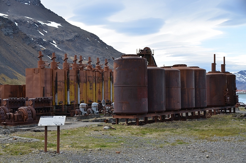 140_Antarctica_South_Georgia_Grytviken.JPG