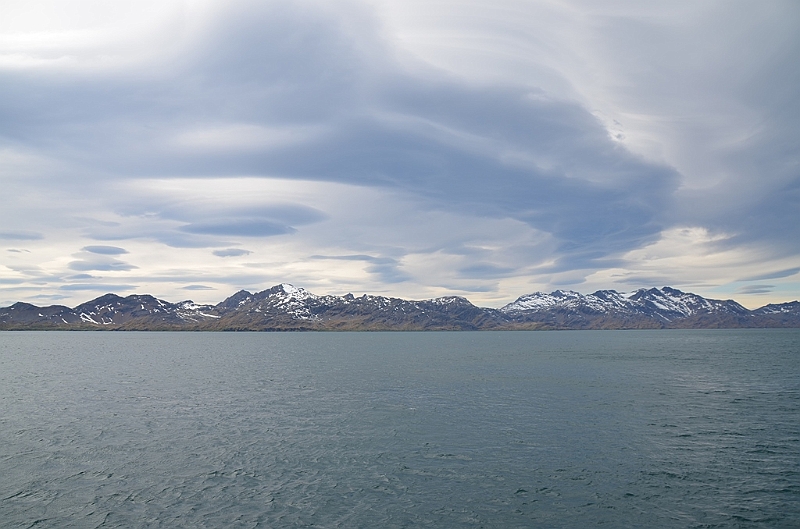 162_Antarctica_South_Georgia.JPG