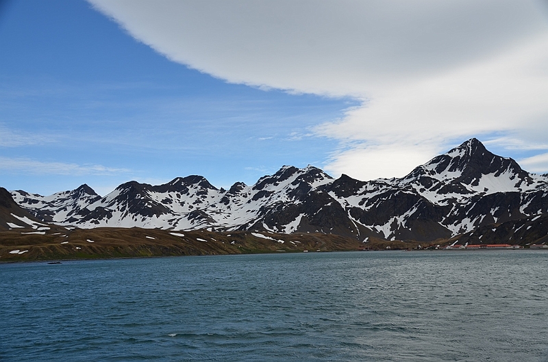 165_Antarctica_South_Georgia.JPG