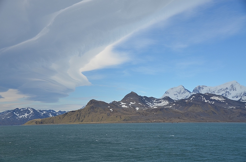 175_Antarctica_South_Georgia.JPG