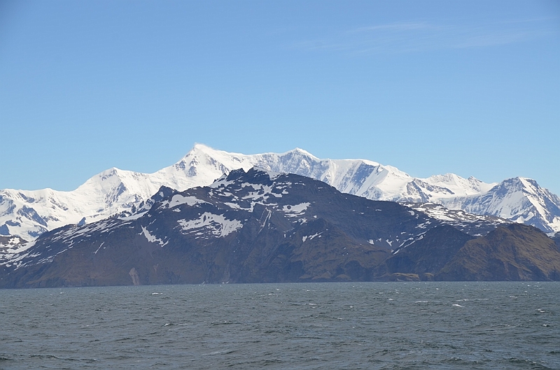 183_Antarctica_South_Georgia.JPG