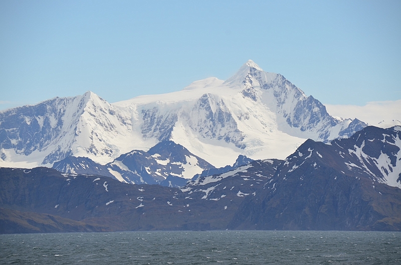 184_Antarctica_South_Georgia.JPG