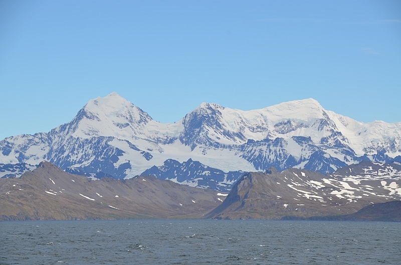 185_Antarctica_South_Georgia.JPG