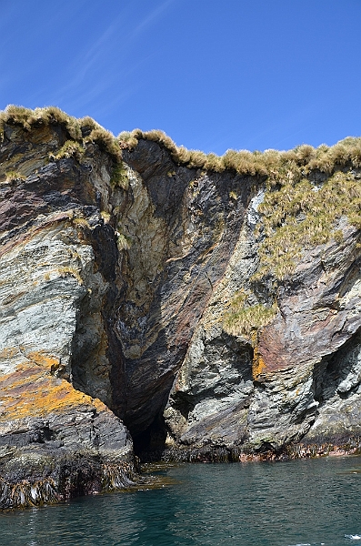 298_Antarctica_South_Georgia_Cooper_Bay.JPG