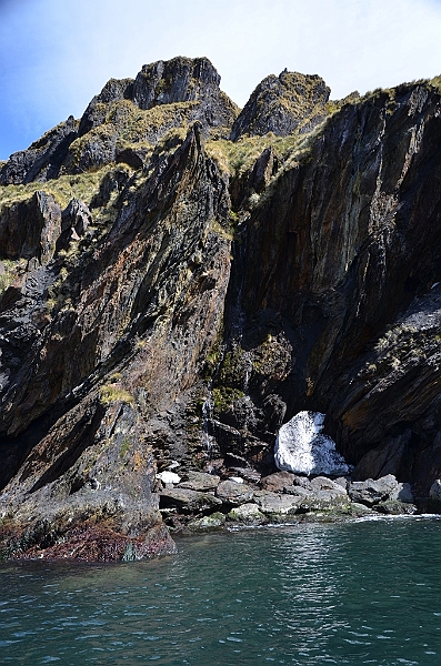 305_Antarctica_South_Georgia_Cooper_Bay.JPG
