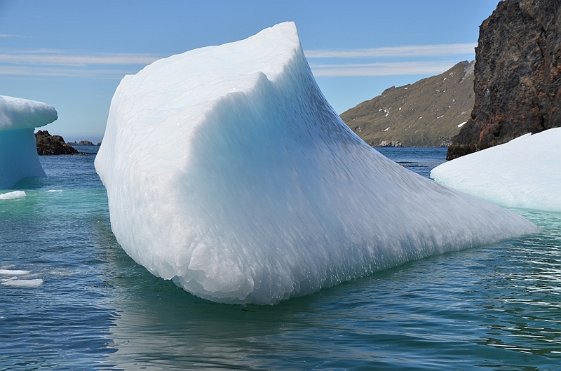 319_Antarctica_South_Georgia_Cooper_Bay.JPG