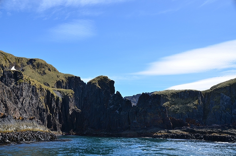 325_Antarctica_South_Georgia_Cooper_Bay.JPG