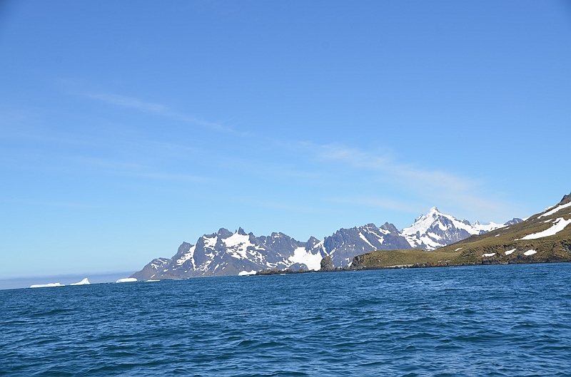 336_Antarctica_South_Georgia_Cooper_Bay.JPG
