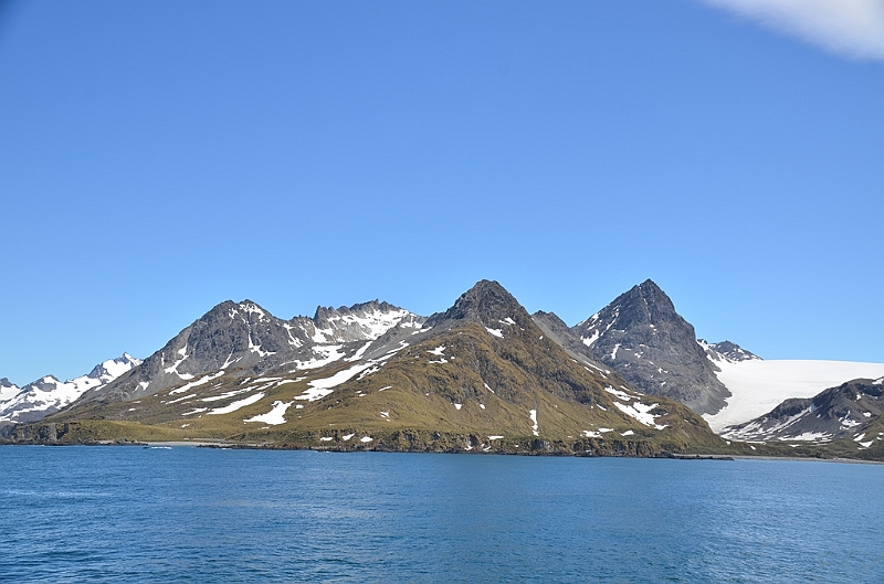 338_Antarctica_South_Georgia_Cooper_Bay.JPG