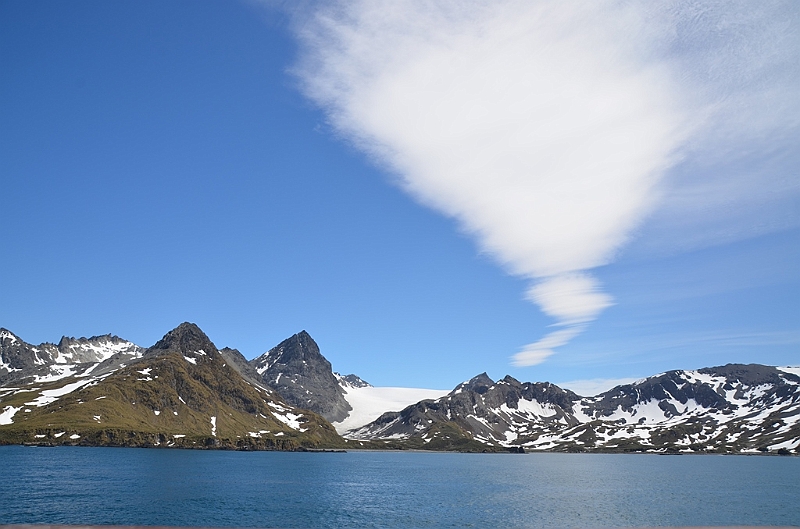 339_Antarctica_South_Georgia_Cooper_Bay.JPG