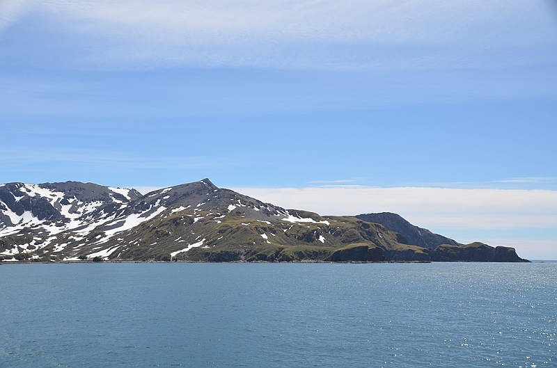 341_Antarctica_South_Georgia_Cooper_Bay.JPG