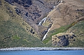 041_Antarctica_South_Georgia_Fortuna_Bay