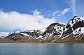047_Antarctica_South_Georgia_Fortuna_Bay