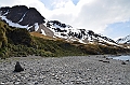 065_Antarctica_South_Georgia_Fortuna_Bay