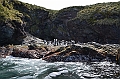 290_Antarctica_South_Georgia_Cooper_Bay