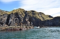 312_Antarctica_South_Georgia_Cooper_Bay