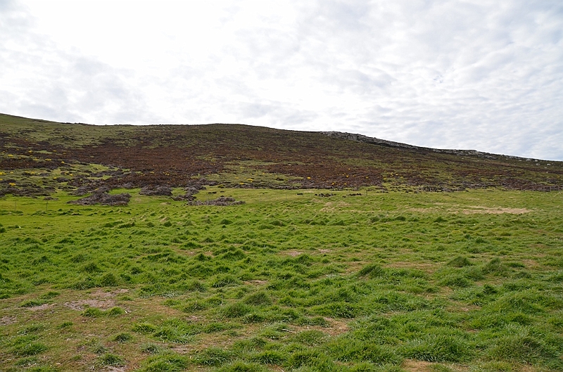 123_Falkland_Islands_Grave_Cove.JPG