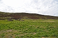 123_Falkland_Islands_Grave_Cove