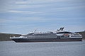 138_Falkland_Islands_Grave_Cove_L_Austral