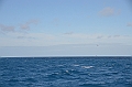 163_Falkland_Islands